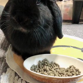 もぐもぐの画像