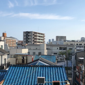 蝉の画像