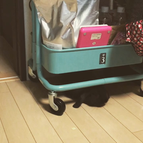ハマった(笑)の画像