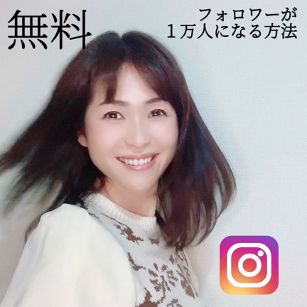 無料で インスタ個別相談やります❣️の記事動画
