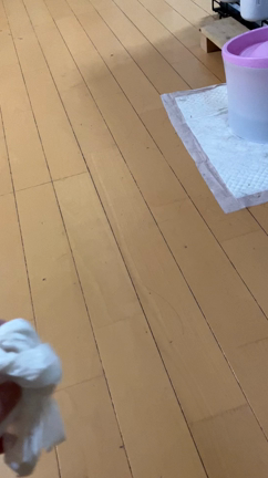 猫、こんなこともできます。の記事動画