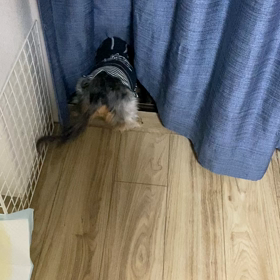 我が道を。。の画像