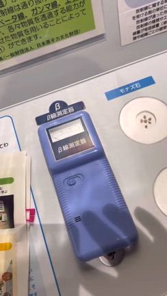 キャンプ行ったズラ　②の記事動画