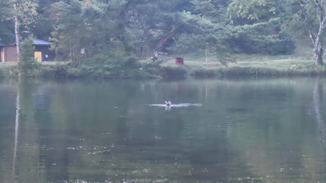 駒出池キャンプ場の記事動画