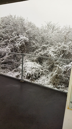 関東でもこの冬初の大雪の記事動画