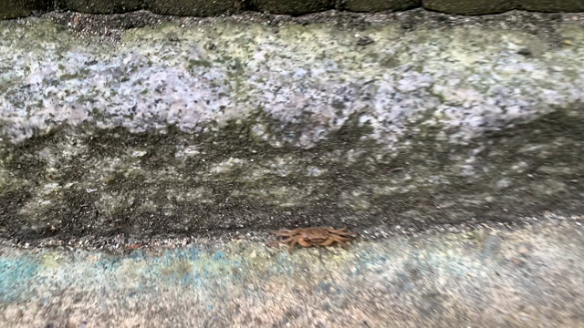 「縁側でモフモフと一緒」からの「自分で枠つくってる話」なぞの記事動画