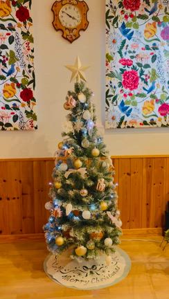 ツリーを迎える準備から始まった、心まで整うクリスマス♡の記事動画