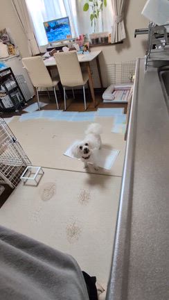 ありがとうございます！の記事動画