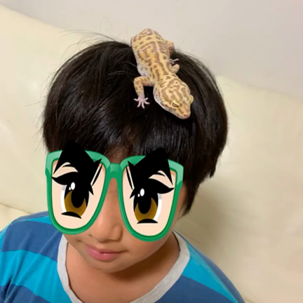 今日から久々にインスタ再開しますの記事動画
