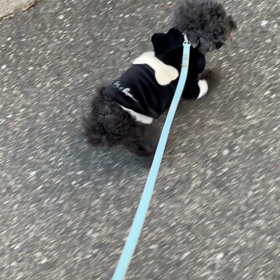 2019/12/31の画像
