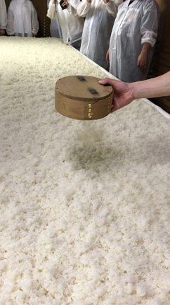 酒蔵見学 忘備録 新潟 玉川酒造 酒造りの旅 (2018/2/24-25) 1日目の記事動画