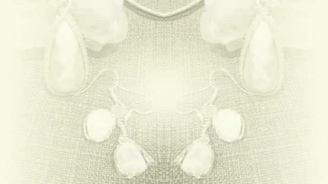 光舞輪…Himawariの記事動画