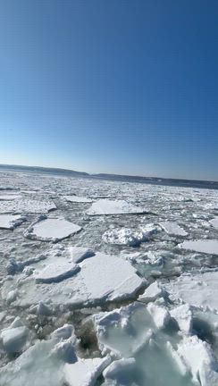 無垢な流氷を眺めつつ　人　の穢れを想ふ。の記事動画