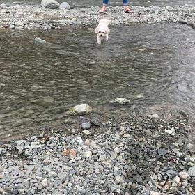 うちらが一番下流にいましたm(_ _)mの画像