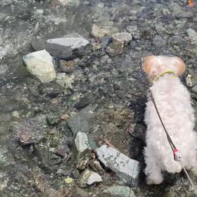 続き。。動画。。同じようなものばかり。。の画像