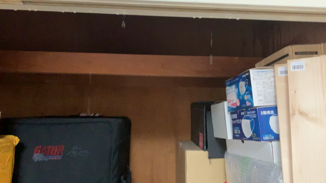 水芸してますの記事動画