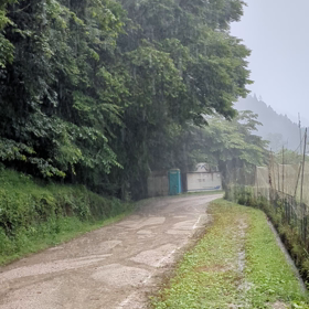 7月9日雨の画像