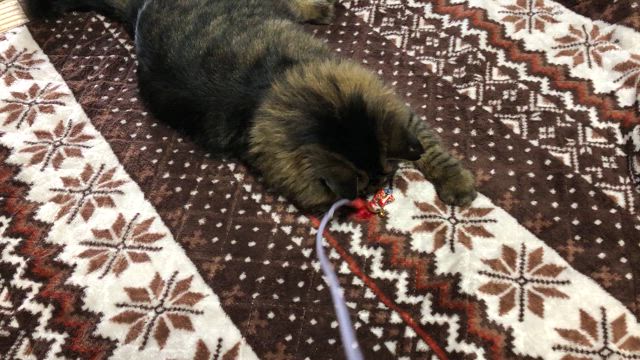 おぴんくセゾン♪の記事動画