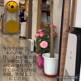 3か月かかった歯科治療。の画像