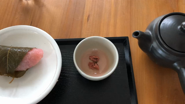 昨日の函館　五稜郭　夕方の桜　いとおかしの記事動画