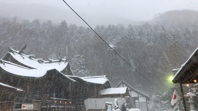 函館八幡宮　2020年大祓の儀の記事動画