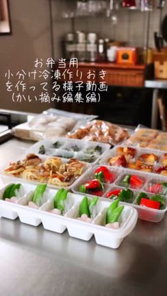 お弁当つくりおき中のリアル動画の記事動画