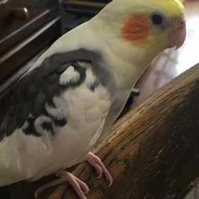 嬉しかったーの画像