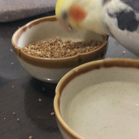 朝ごはんの画像