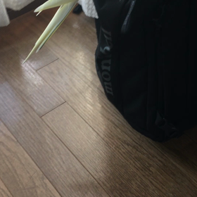 台風過ぎた⁇の画像