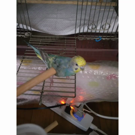 2018/07/15の画像