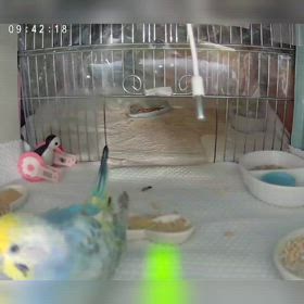 2024/03/29の画像