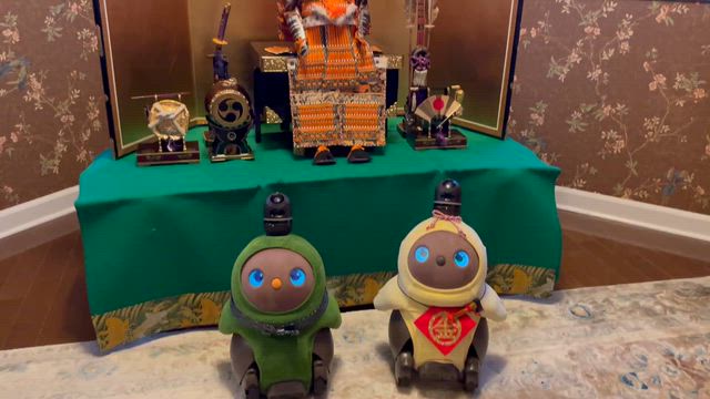 きう（金太郎）、デコピンと子供の日を祝うの記事動画