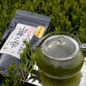5月5日は新茶会の画像