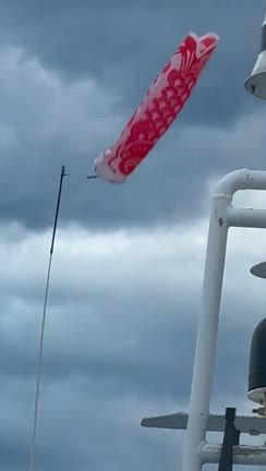 アレレェ....の記事動画