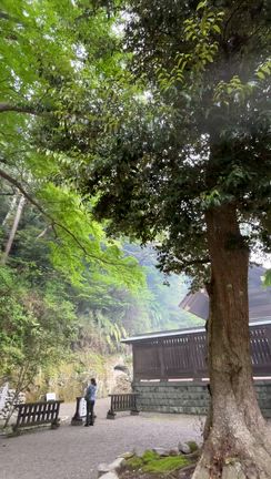 NPO法人安房の海を守り育む会に行ってきました♪の記事動画