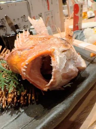 Kのサロンでございますvol2820の記事動画