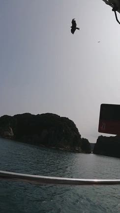 海の日の遊び場＠宮崎県日南市の記事動画