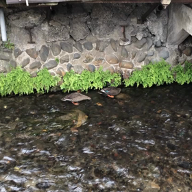 今年もあと数時間の画像