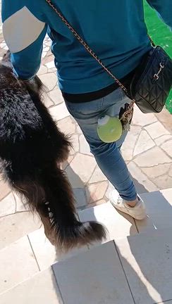 いざおさんぽに✨の記事動画
