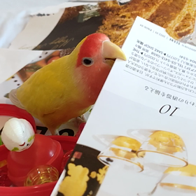 ルナ遊ぶ♥️の画像