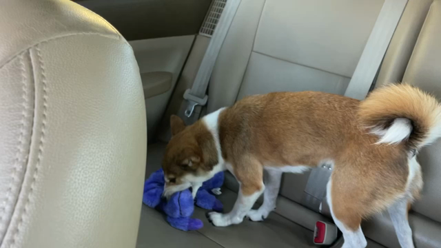 「頑張ってるけど」の記事動画