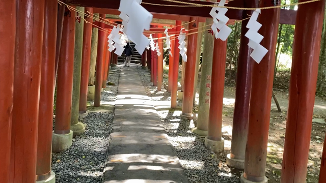 【念願の新屋山神社お参り】の記事動画