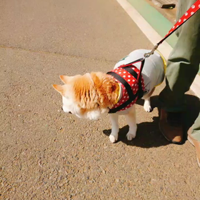 おトイレ散歩＆ひなたぼっこ☀の画像