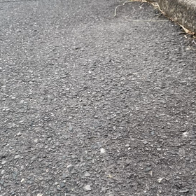 偶然撮れたココアの歩き方の画像