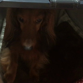 反省。反省。そして反省。の画像