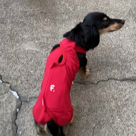 復活❤︎初めてのお薬の画像