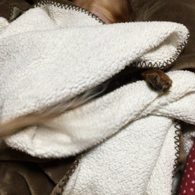 名前を呼ぶと…の画像