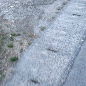 多頭飼いあるあるかな？の画像