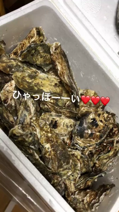 年末の記事動画
