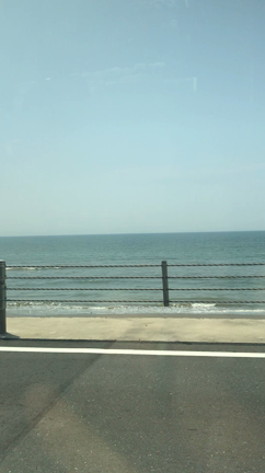 葉山旅で見つけた、オススメのお店の記事動画